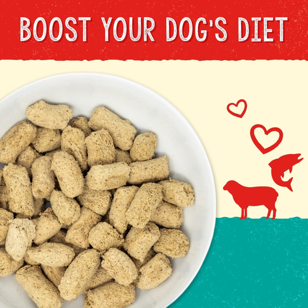 Stella & Chewy's Skin & Coat Boost Dog Food, Grass-Fed Lamb & Wild-Caught Salmon, 4.25 oz