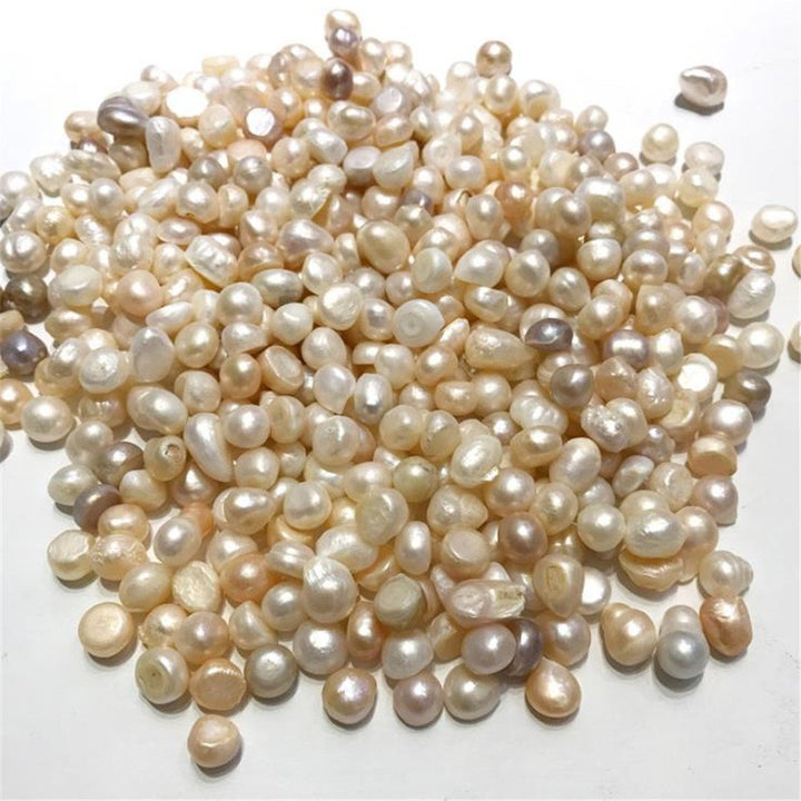 AITELEI Freshwater Pearl Oysters, 100 g