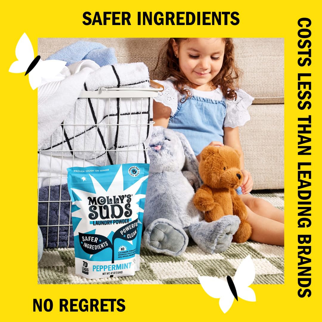 Molly's Suds Laundry Powder, Original, 70 Loads