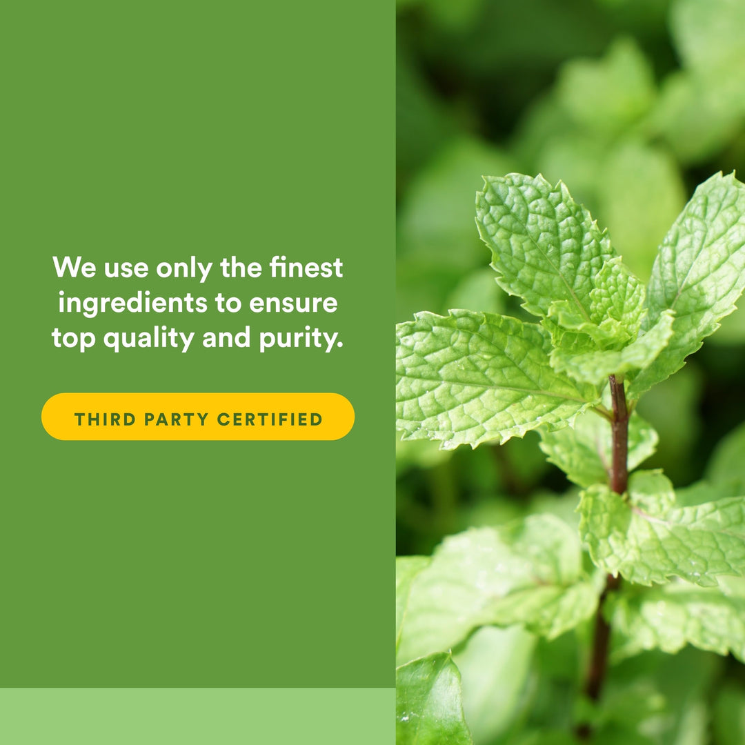 Natural Factors Peppermint & Oregano Oil Complex, 60 Count