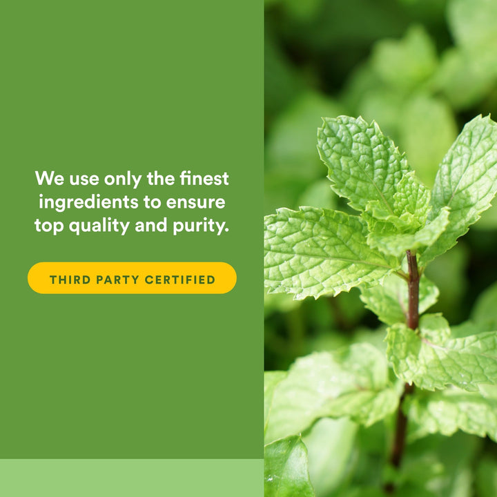 Natural Factors Peppermint & Oregano Oil Complex, 60 Count