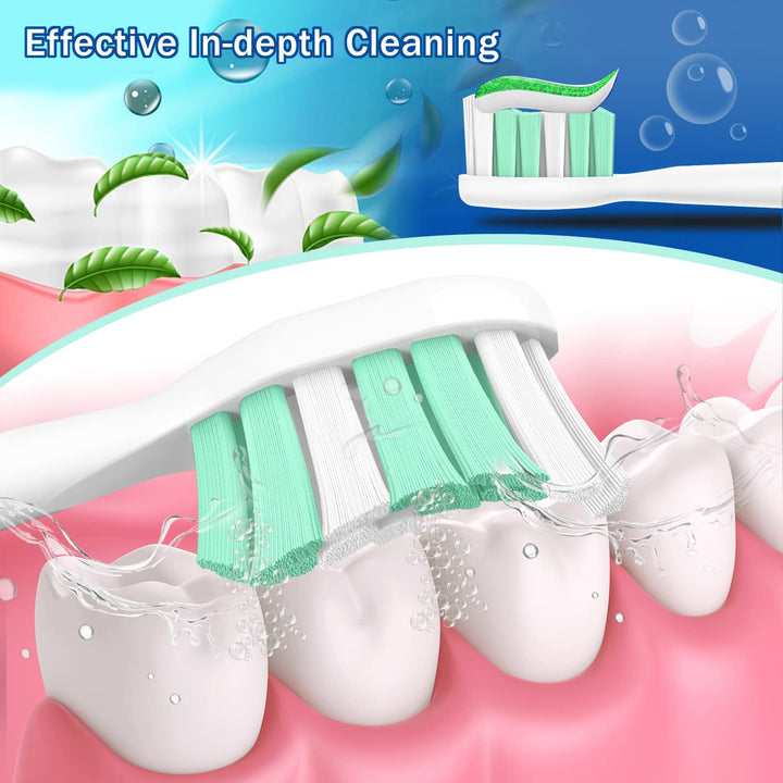 Aoremon Replacement Toothbrush Heads, 6 Count