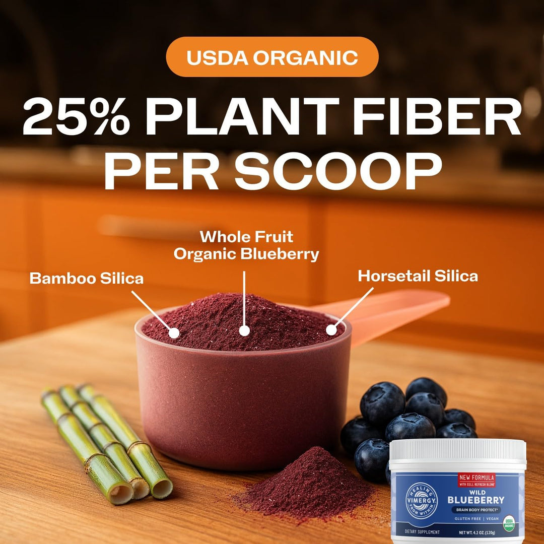 Vimergy Wild Blueberry Supplement Powder, 120 g