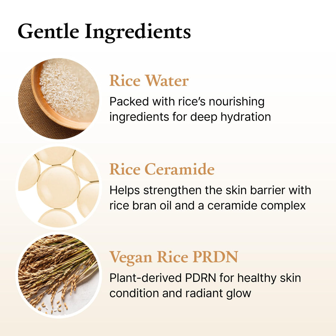 FULLY Rice Ceramide Essence Toner, 8.45 fl oz