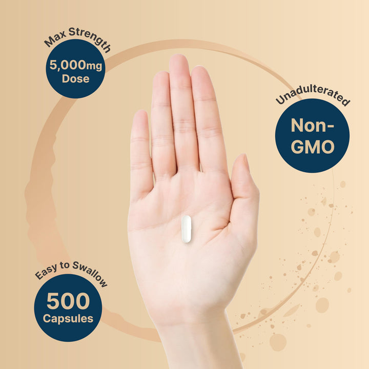 NatureBell Creatine Monohydrate Capsules, Unflavored, 500 Count