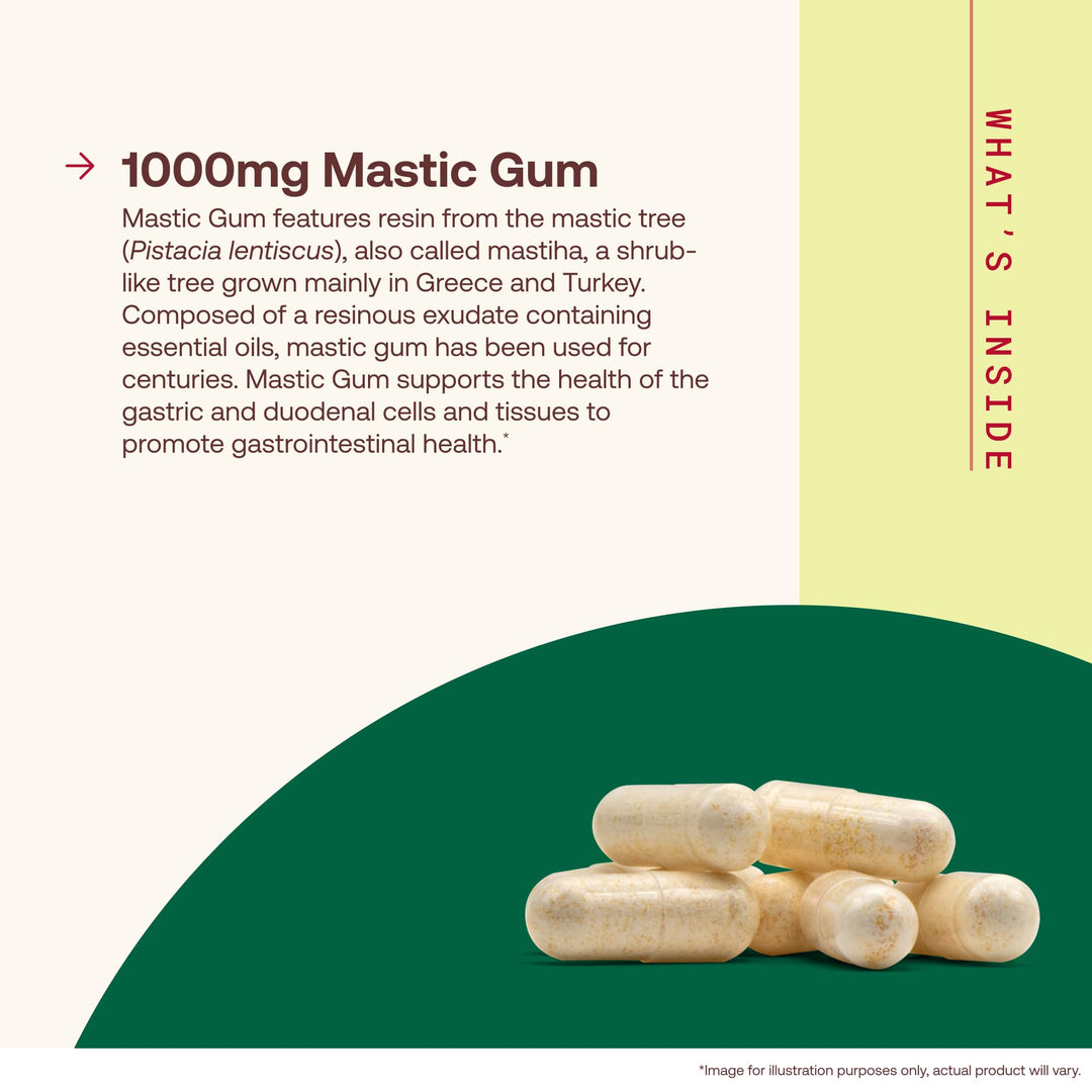 Jarrow Formulas Mastic Gum, 1000 mg, 60 Count