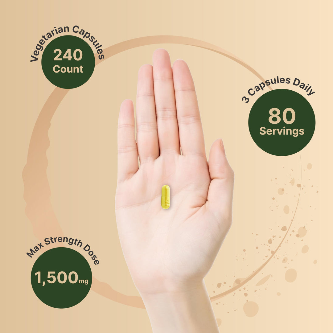 NatureBell Berberine Supplement with Ceylon Cinnamon and Turmeric Root, 1500 mg, 240 Count
