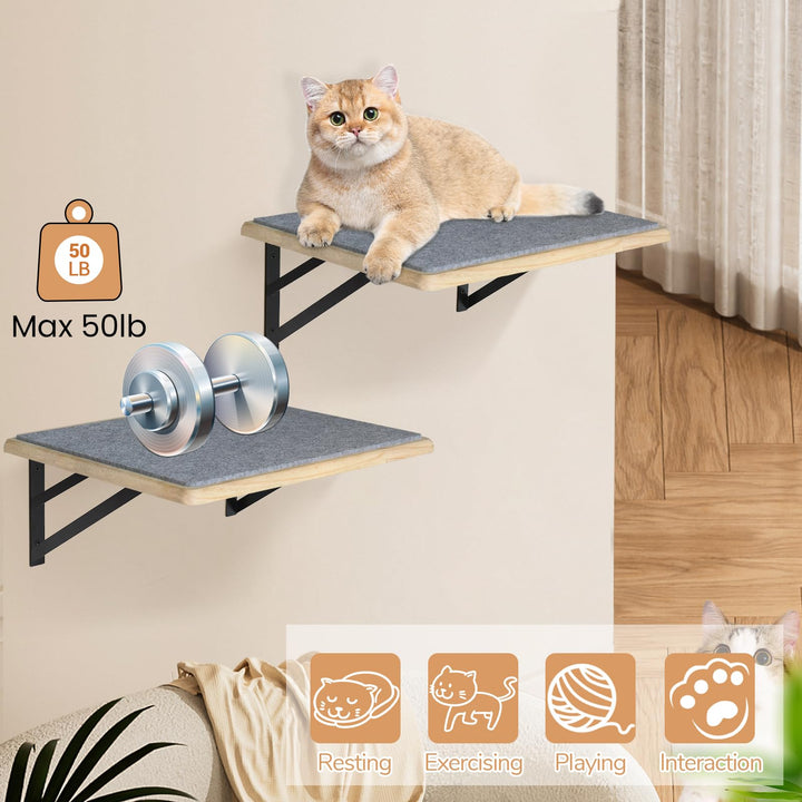 GADKE Cat Wall Shelves, Burlywood, 2 Count