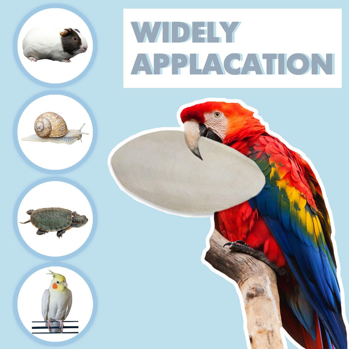 Jmxu's Bird Cuttlebone for Parakeets, 5 in-5.5 in, 6 Count