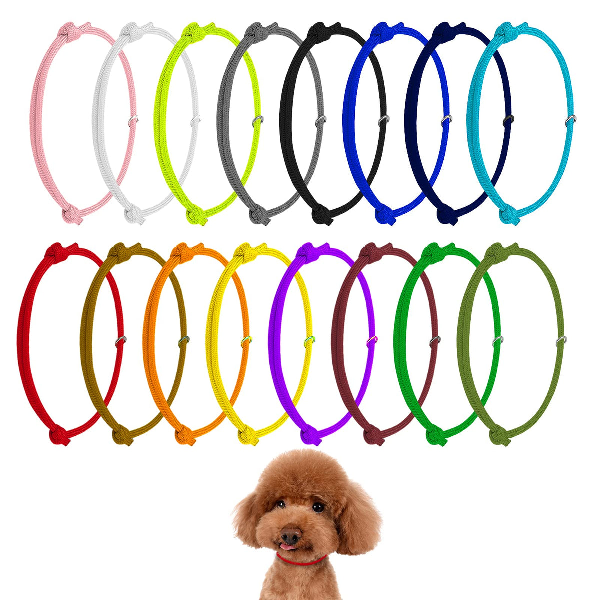 Pet Supplies