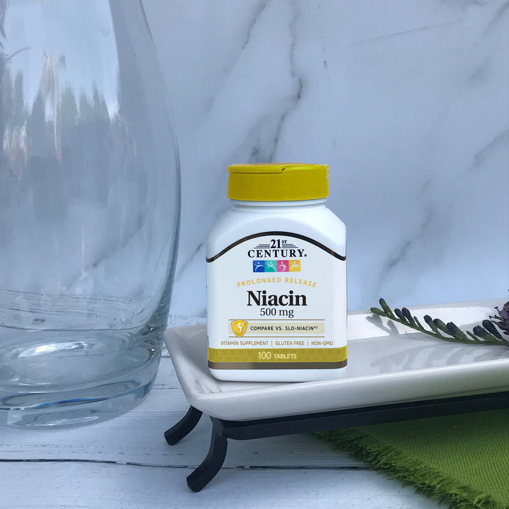 21st Century Niacin Vitamin B3 Prolonged Release, 500 mg, 100 Count