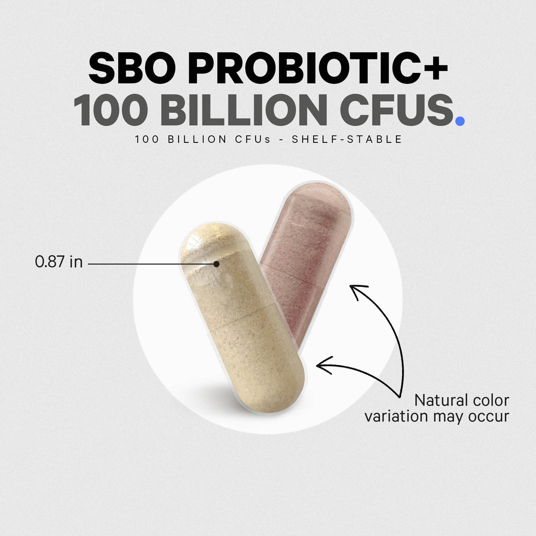 Codeage SBO Probiotics Capsules, 90 Count