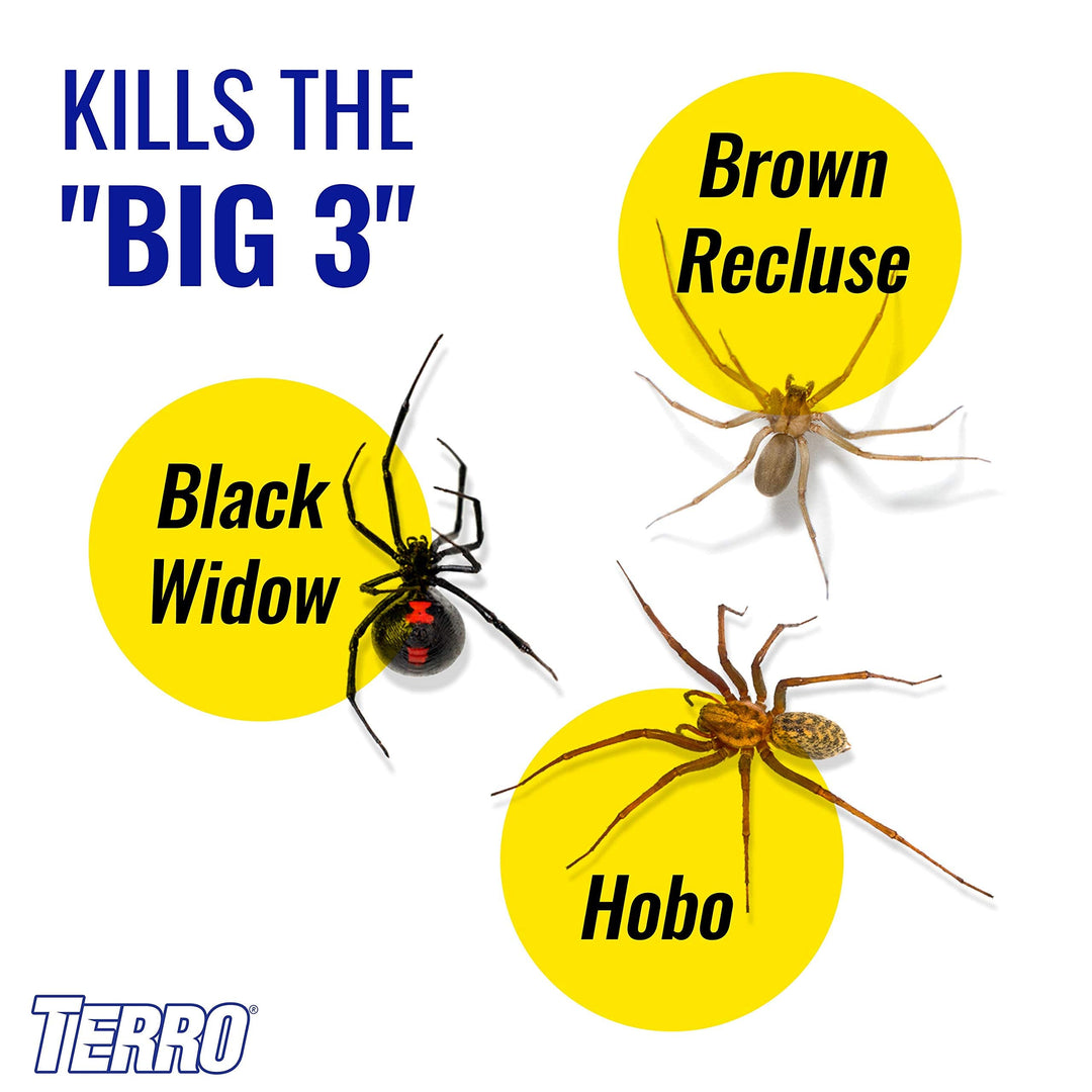 Terro Spider Killer Spray, 6 Count