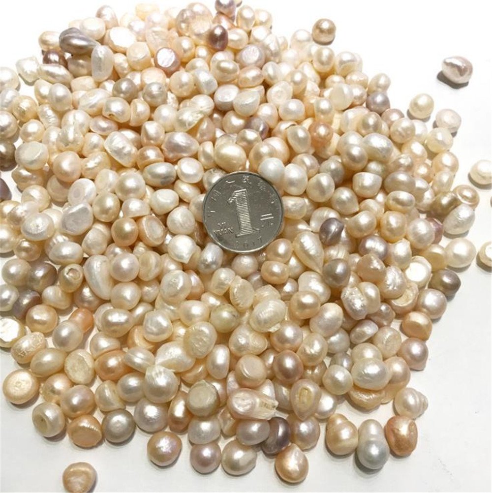 AITELEI Freshwater Pearl Oysters, 100 g