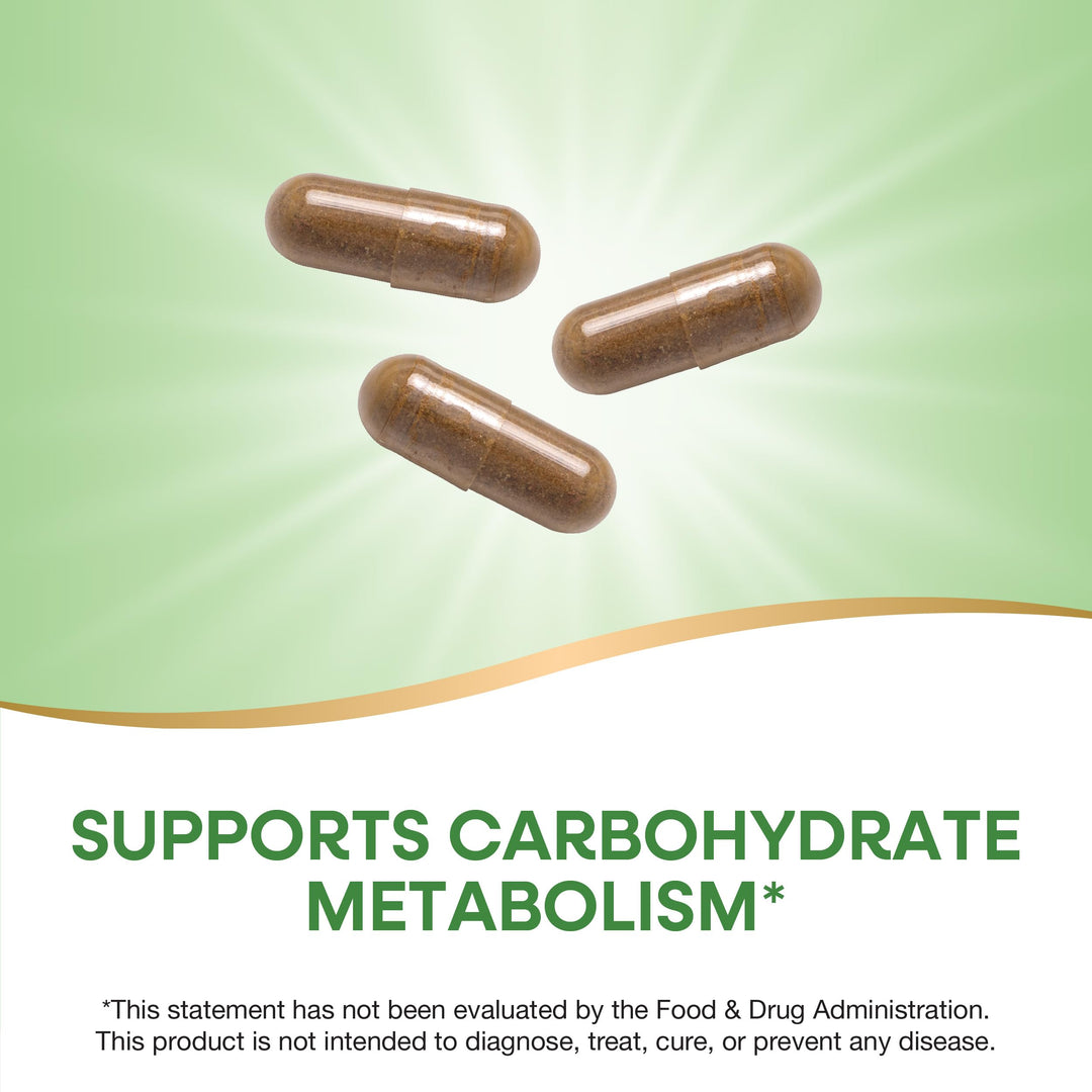 Nature's Way Blood Sugar, 90 Count