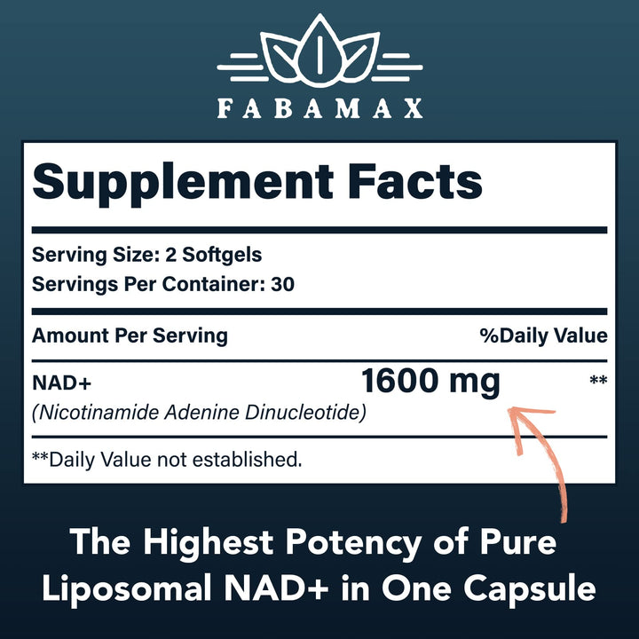 Fabamax Liposomal NAD Supplement, 1600 mg, 120 Count