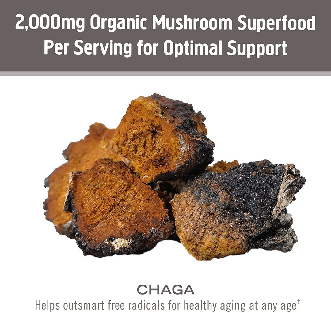 OM Mushroom Superfood Chaga Organic Mushroom Powder, 3.5 oz