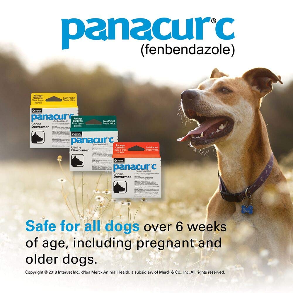 Panacur C Canine Dewormer, 2 g