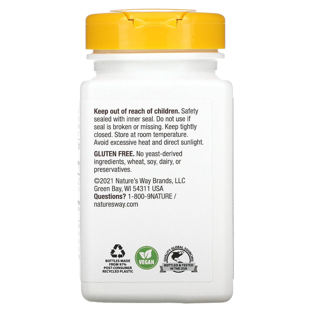 Nature's Way Choline, 500 mg, 100 Count