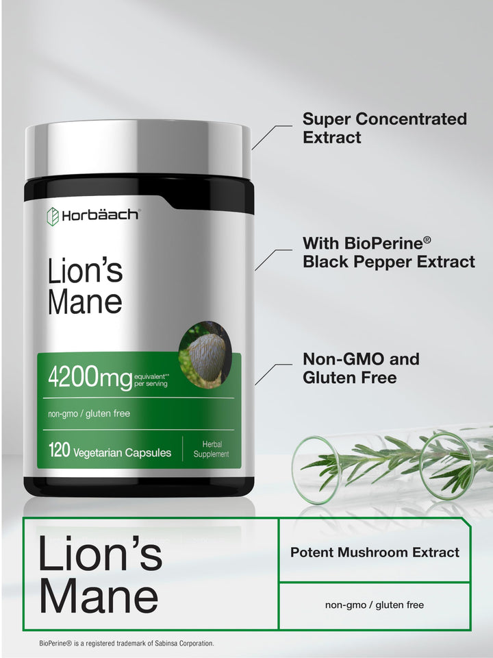 Horbäach Lions Mane Mushroom Extract, 120 Count
