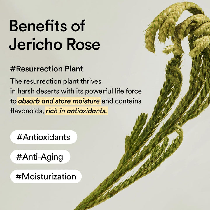 Abib Collagen Eye Cream Jericho Rose Tube