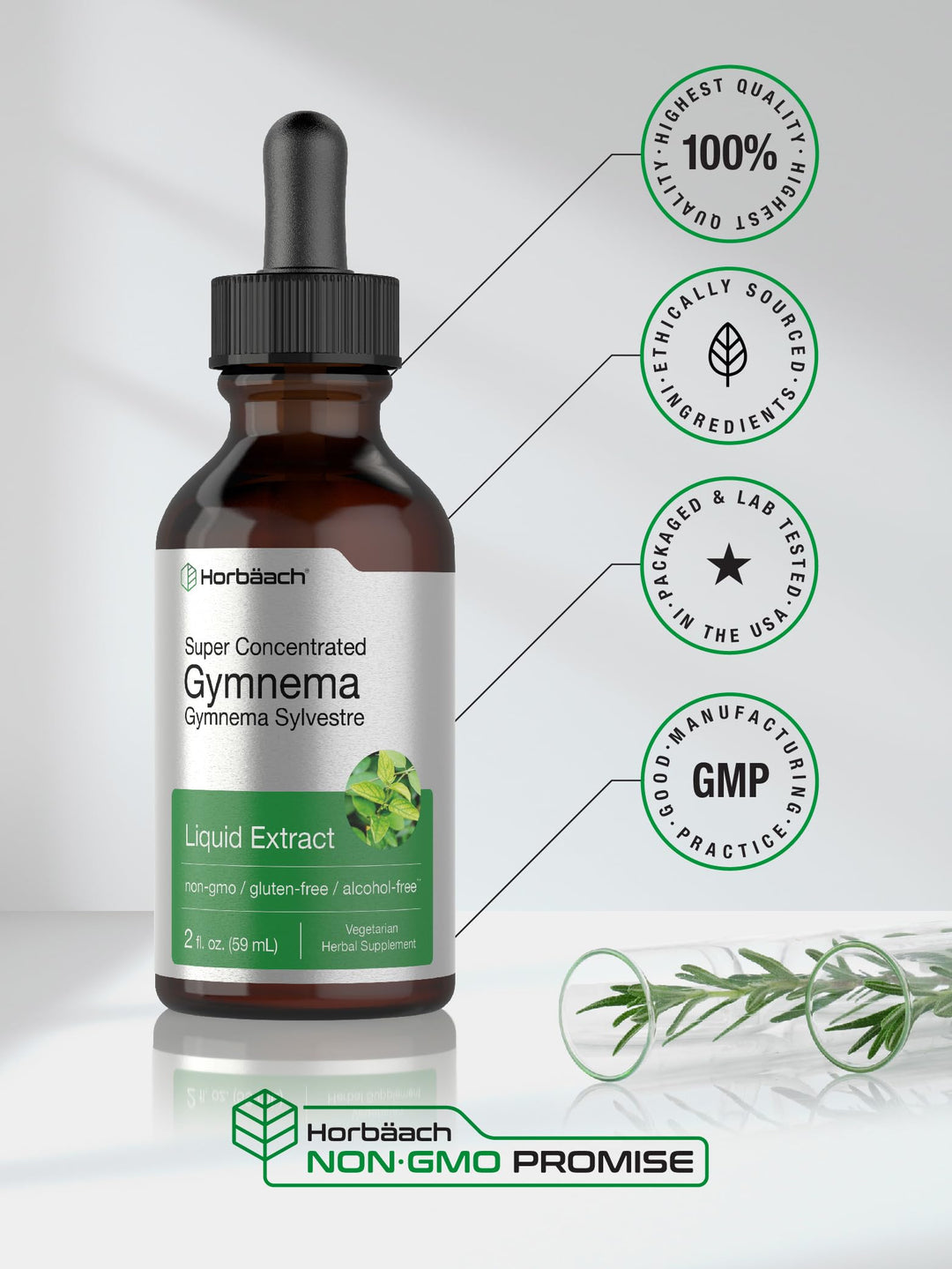 Horbäach Gymnema Sylvestre Liquid Extract, Alcohol Free, 2 fl oz