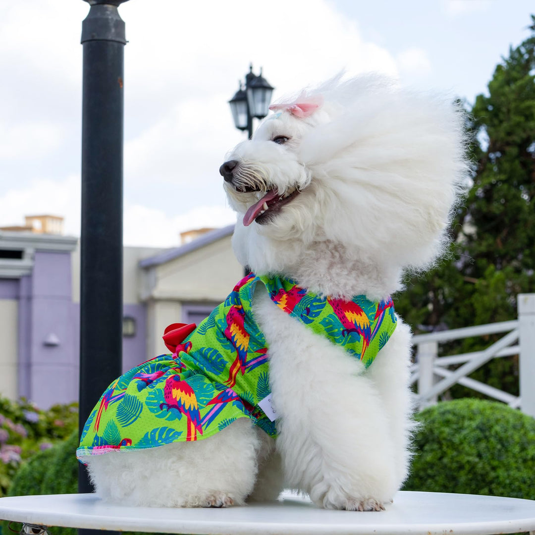 CuteBone Dog Dress, Jungle Series, XS