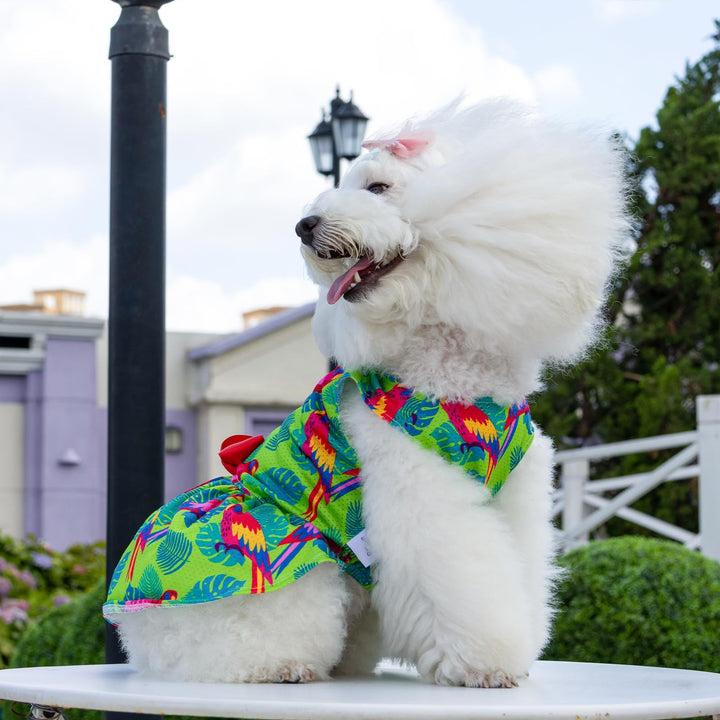 CuteBone Dog Dress, Jungle Series, XS