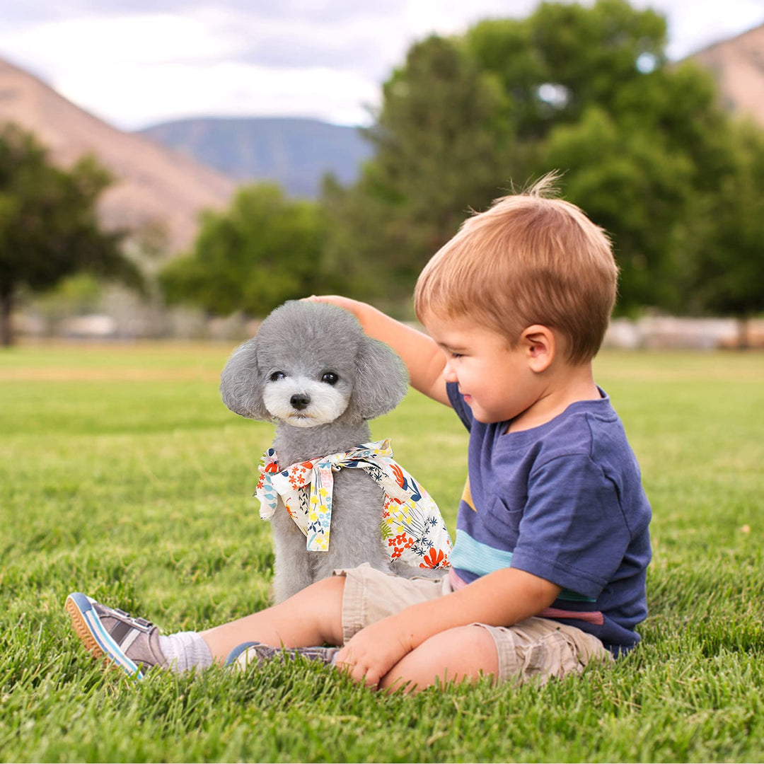 Kunyeah Pet Summer Clothes, Medium, 2 Count