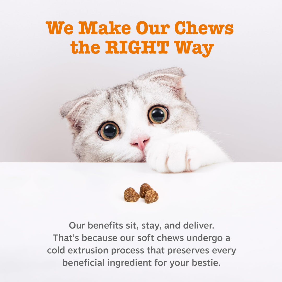 Zesty Paws Allergy Relief For Cats, Bacon, 60 Count