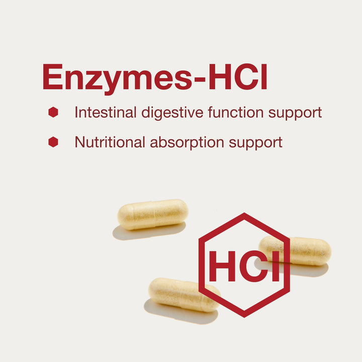 Protocol For Life Balance Enzymes-HCl, 120 Count