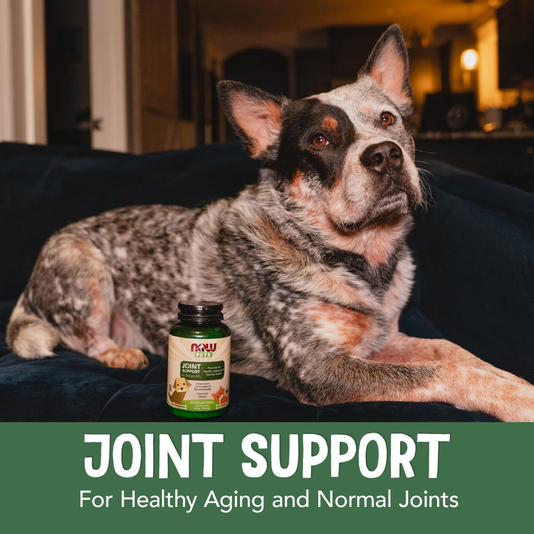 NOW Pet Health Joint Support Supplement for Cats and Dogs, 90 Count