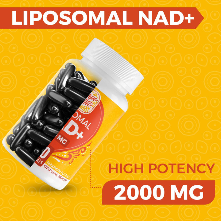 Rhameph Liposomal NAD Supplement, 2000 mg, 60 Count