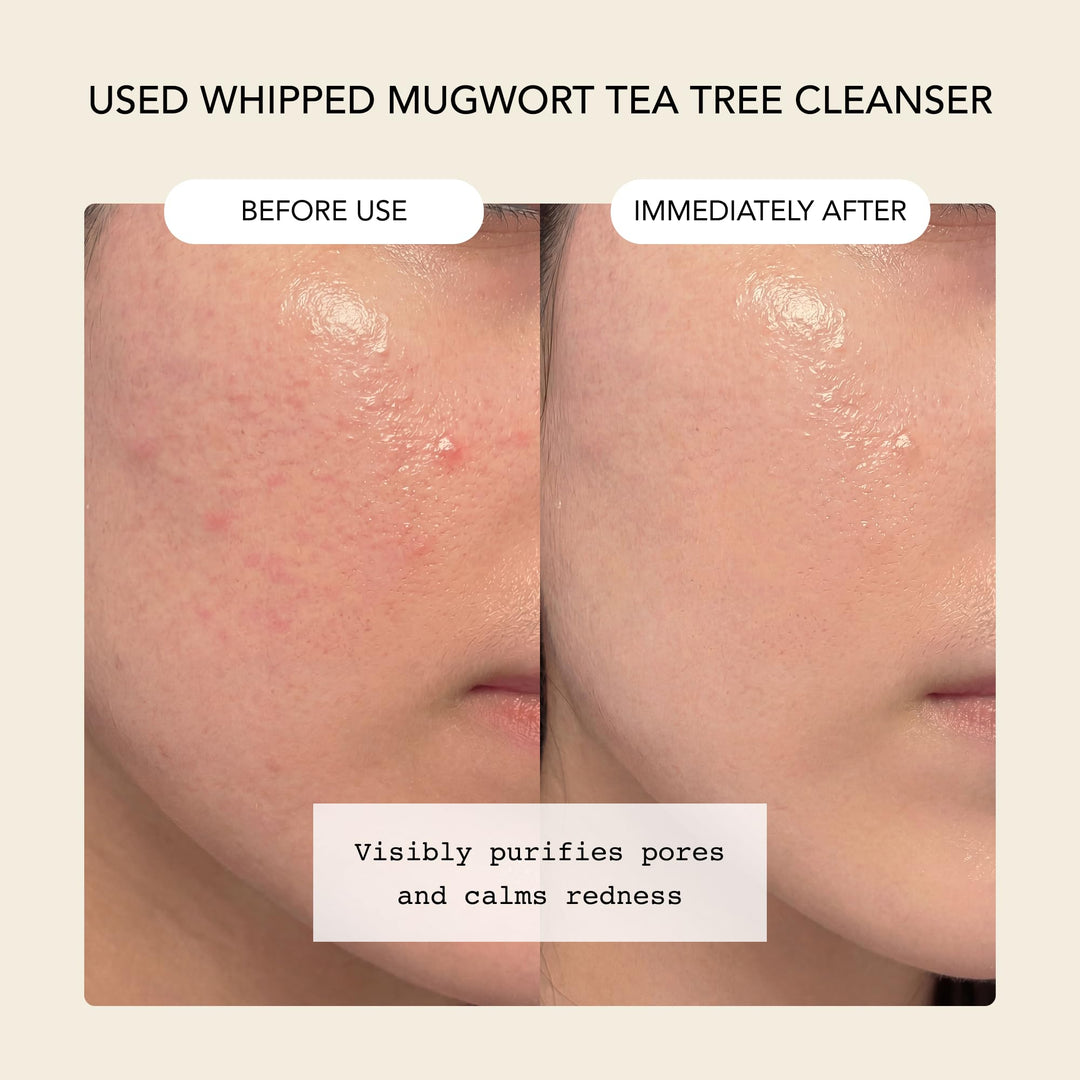 Whipped Semo Company Korean Skincare Face Wash, Mugwort Tea Tree, 1 Count