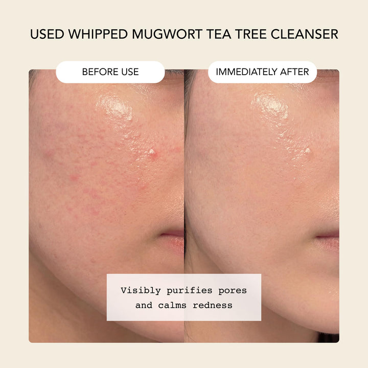 Whipped Semo Company Korean Skincare Face Wash, Mugwort Tea Tree, 1 Count