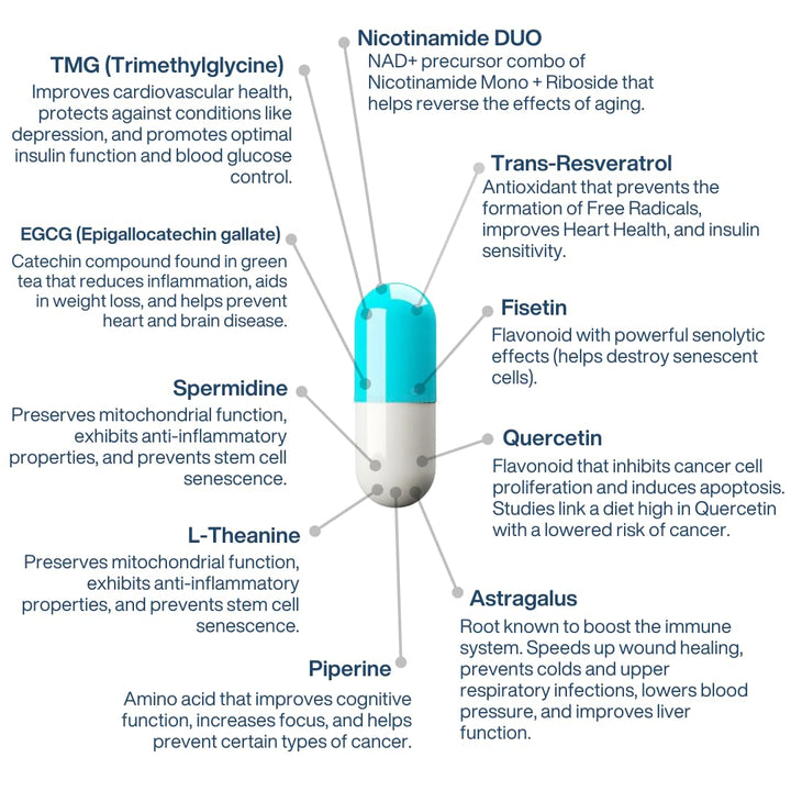 PERPETUA.LIFE NAD+ Complex AEON Anti-Aging Supplement