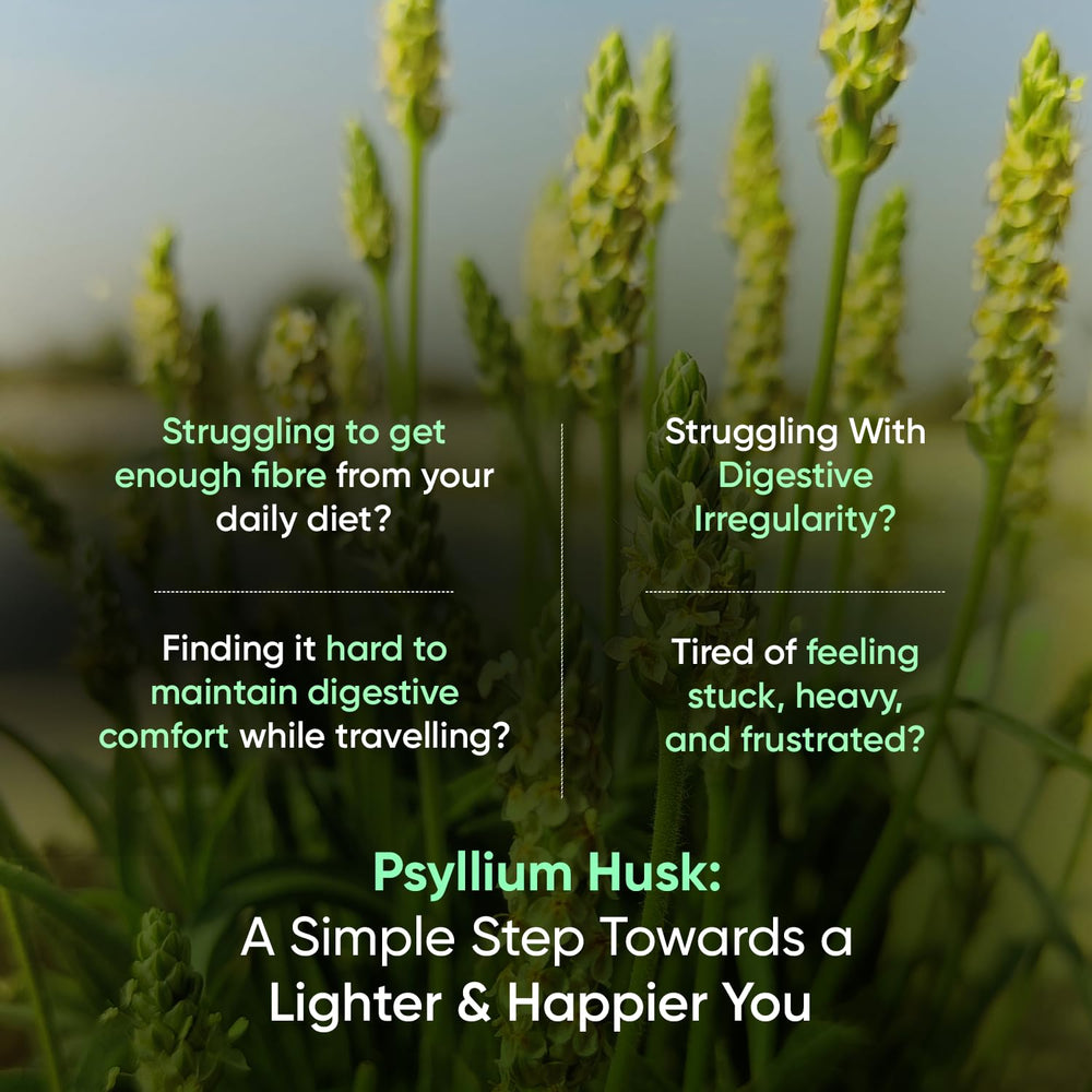 WeightWorld Psyllium Husk Capsules, 1500 mg, 240 Count