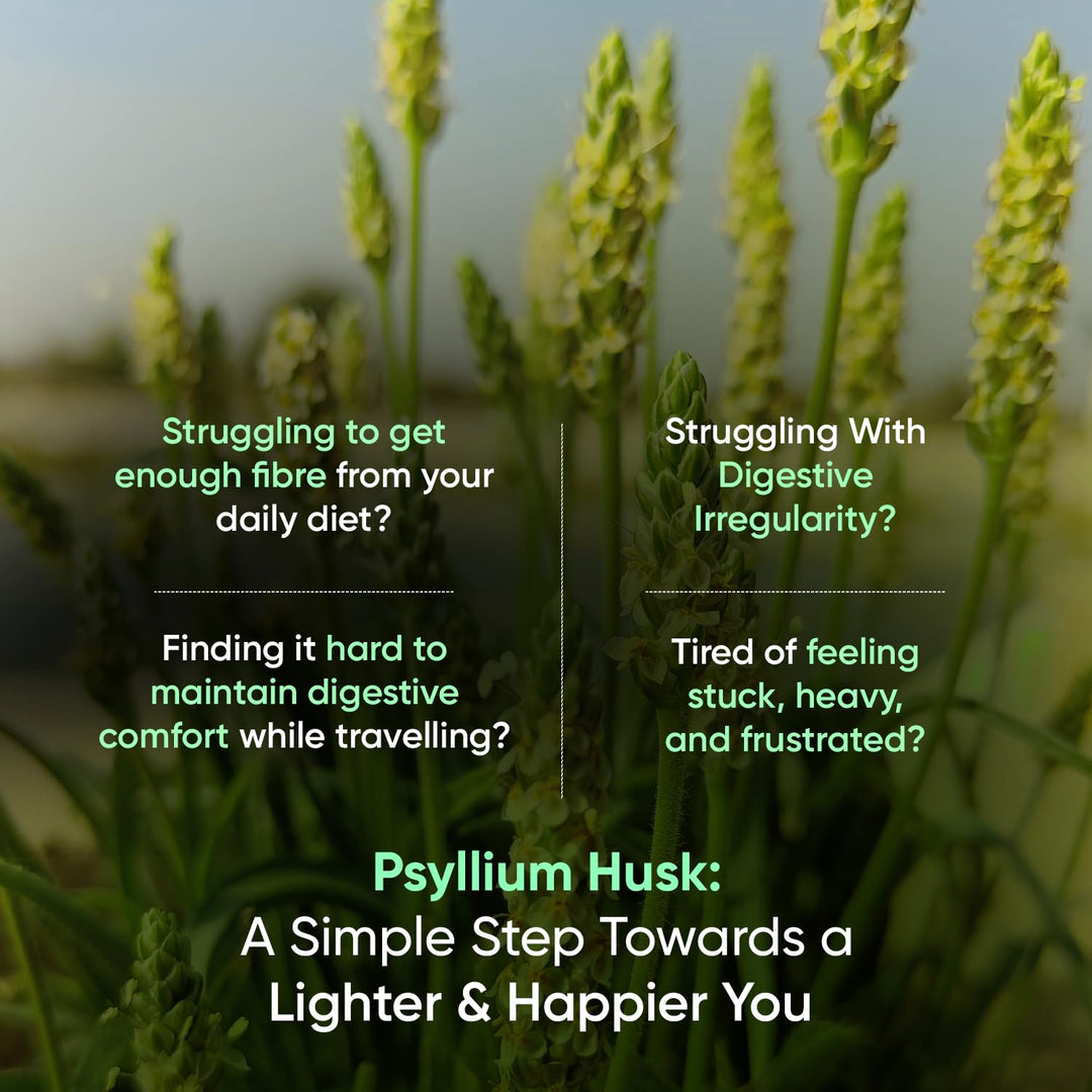 WeightWorld Psyllium Husk Capsules, 1500 mg, 240 Count