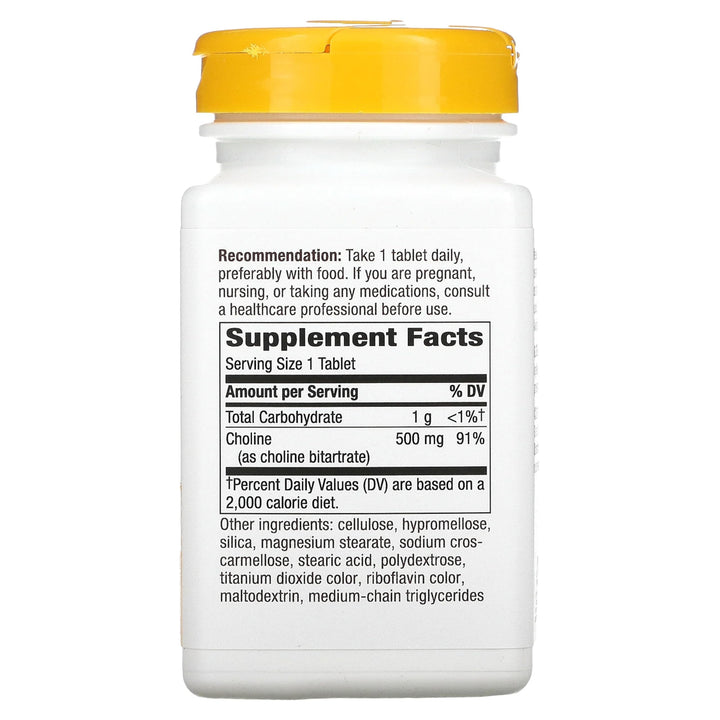 Nature's Way Choline, 500 mg, 100 Count