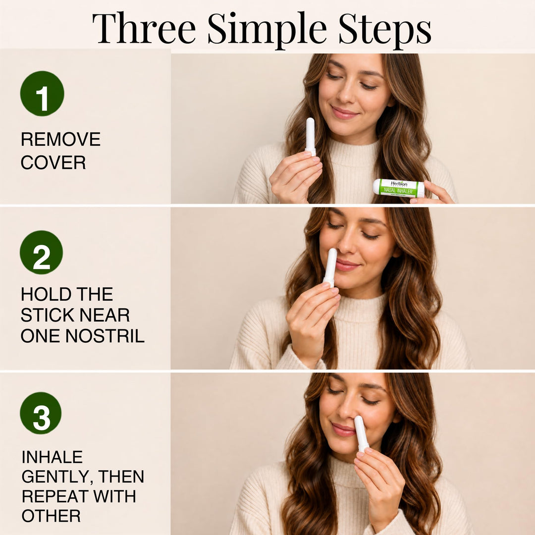 Herbion Naturals Nasal Inhaler, 6 Count