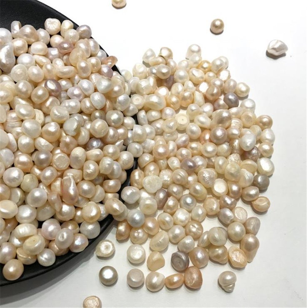 AITELEI Freshwater Pearl Oysters, 100 g