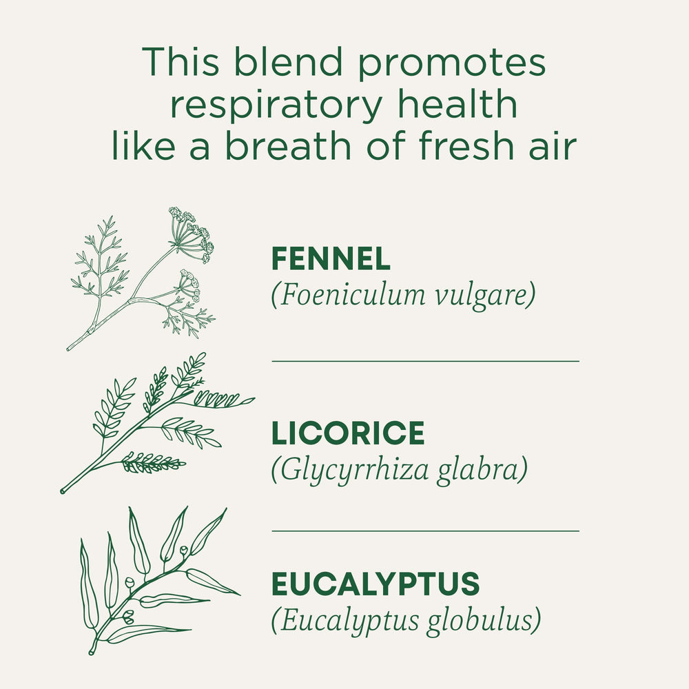 Traditional Medicinals Breathe Easy Tea, Eucalyptus Mint, 16 Count