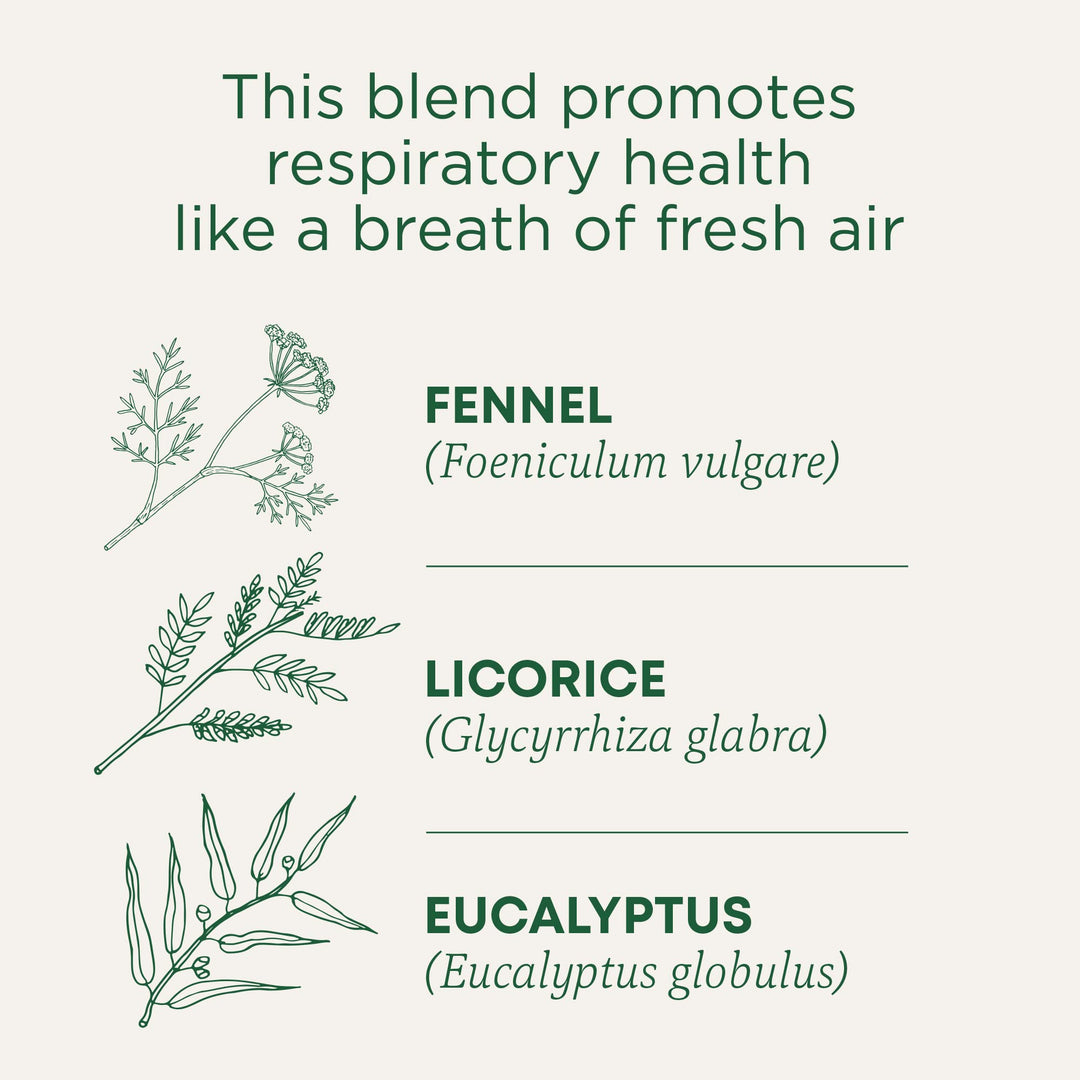 Traditional Medicinals Breathe Easy Tea, Eucalyptus Mint, 16 Count