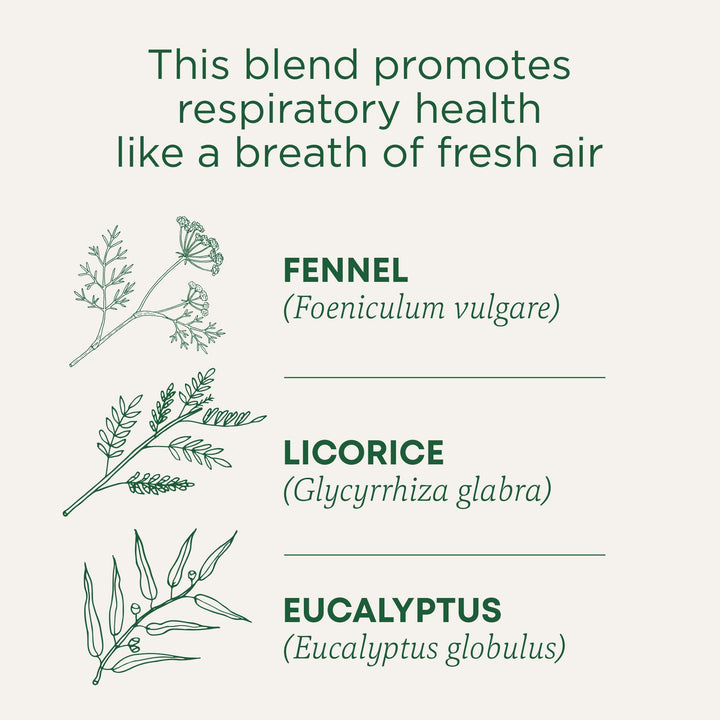 Traditional Medicinals Breathe Easy Tea, Eucalyptus Mint, 16 Count