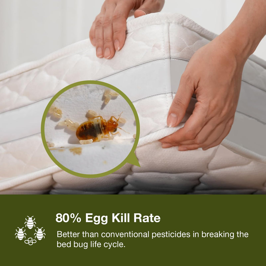 EcoVenger Bed Bug Killer Spray, 16 fl oz