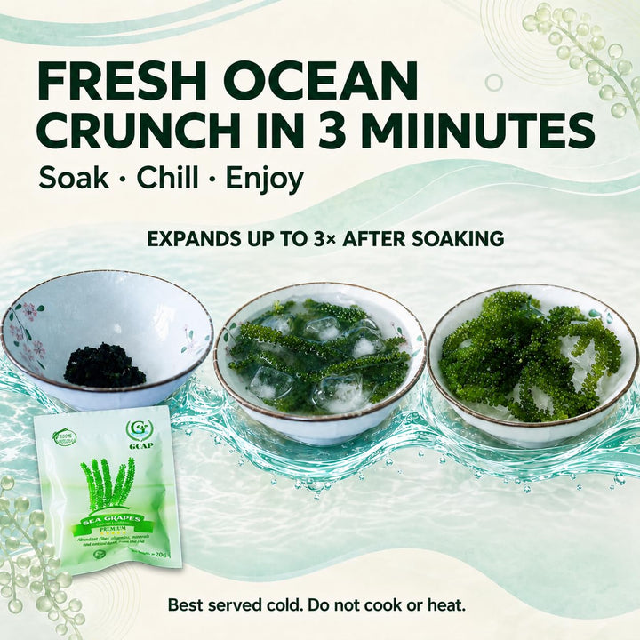 GCAP Sea Grapes Dehydrated Seaweed, Green Caviar, 6 Count