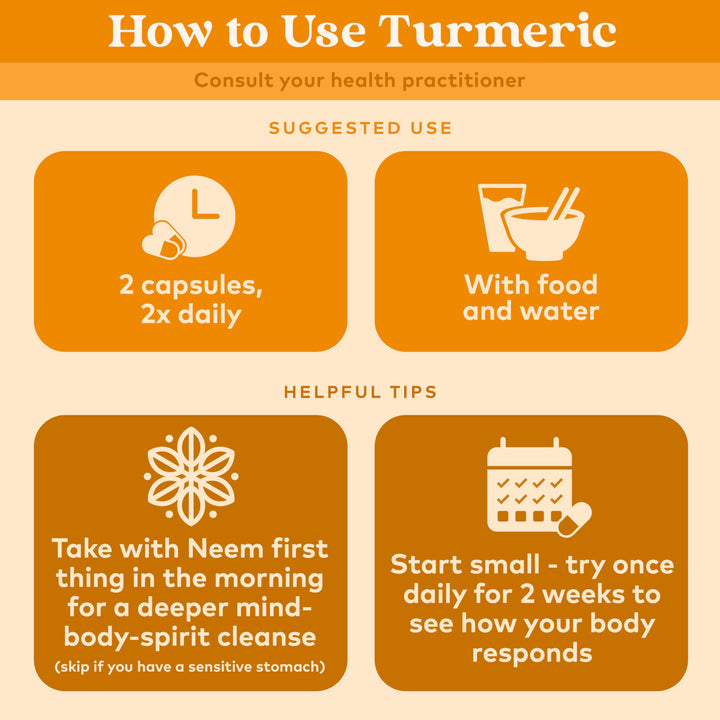 ORGANIC INDIA Turmeric Curcumin, 90 Count