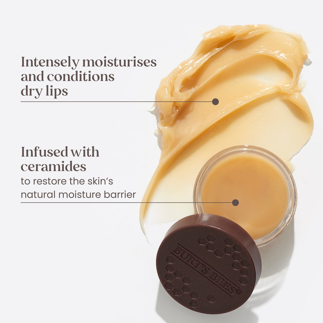 Burt's Bees Overnight Lip Treatment, 7.08 g