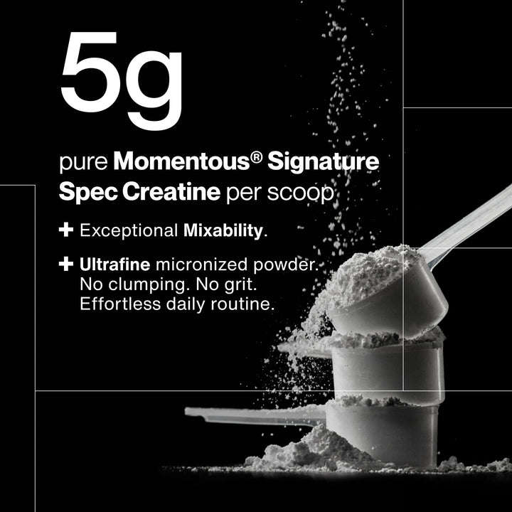 Momentous Creatine Monohydrate Powder, Unflavored