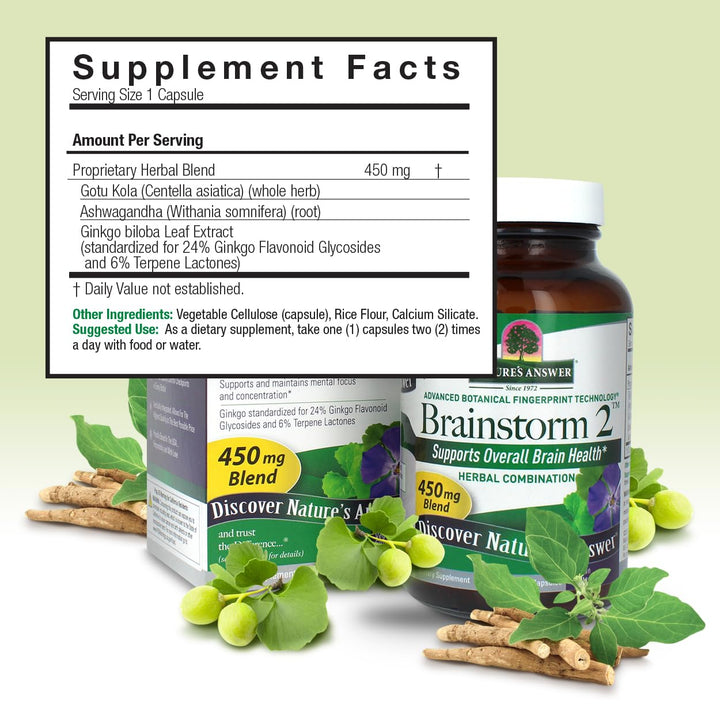 Nature's Answer Brainstorm 2 Herbal Combination, 450 mg, 90 Count